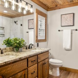 pet friendly cabins in north georgia