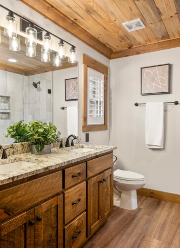 pet friendly cabins in north georgia
