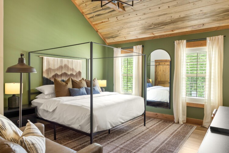 pet friendly cabins in north georgia