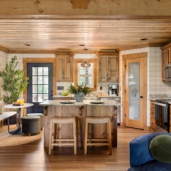 pet friendly cabins in north georgia