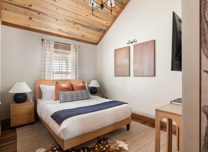 pet friendly cabins in north georgia