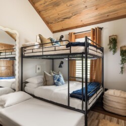 pet friendly cabins in north georgia