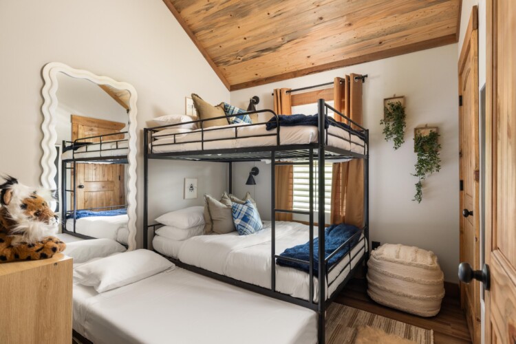 pet friendly cabins in north georgia