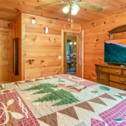cabin rental ellijay georgia