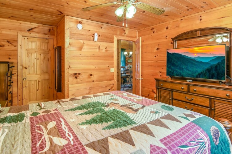 cabin rental ellijay georgia