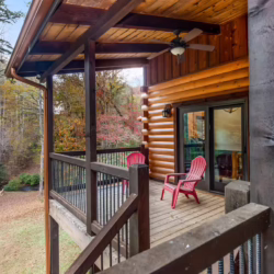 cabin rental ellijay georgia