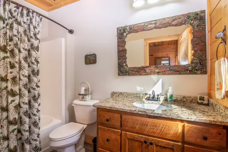 cabin rental ellijay georgia