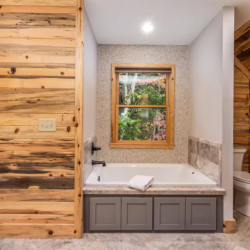 cabin rental ellijay georgia