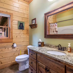 cabin rental ellijay georgia