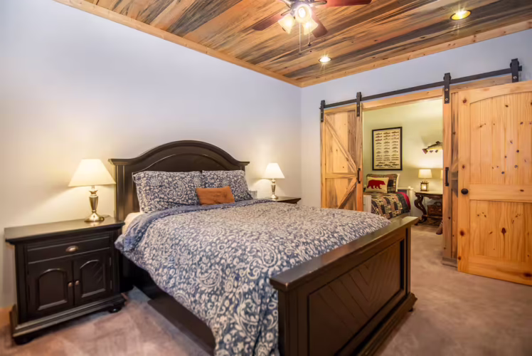 cabin rental ellijay georgia