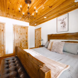 cabins for rent in ellijay ga