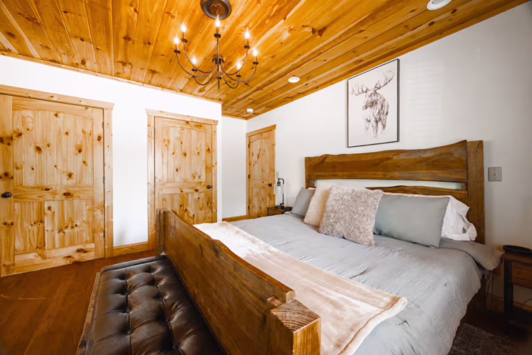 cabins for rent in ellijay ga