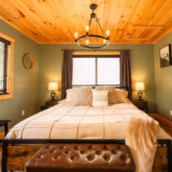 cabins for rent in ellijay ga
