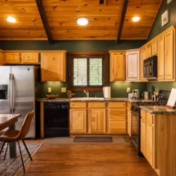 cabins for rent in ellijay ga