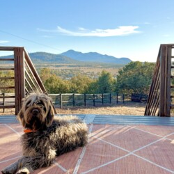 grand canyon cabin rentals