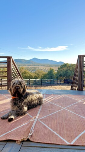 grand canyon cabin rentals