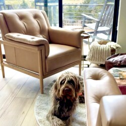 grand canyon cabin rentals