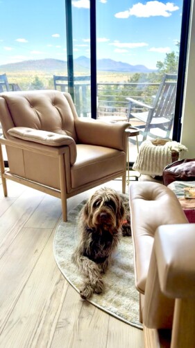 grand canyon cabin rentals