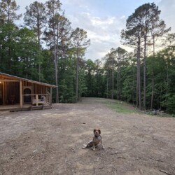 ouachita national forest cabins