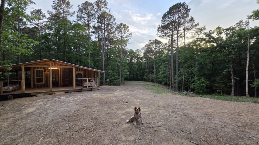 ouachita national forest cabins