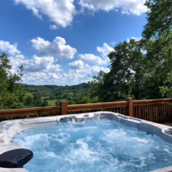 cabins for rent in ellijay ga
