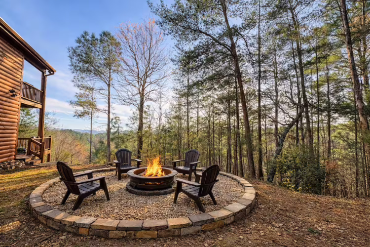 cabins for rent in ellijay ga