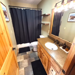 cabins for rent in ellijay ga