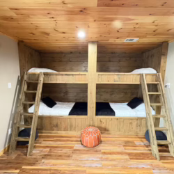 cabins for rent in ellijay ga