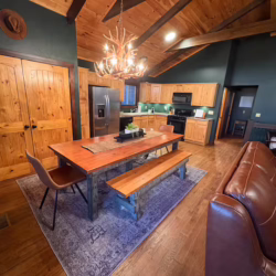 cabins for rent in ellijay ga