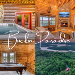 4 bedroom morganton ga cabin rental