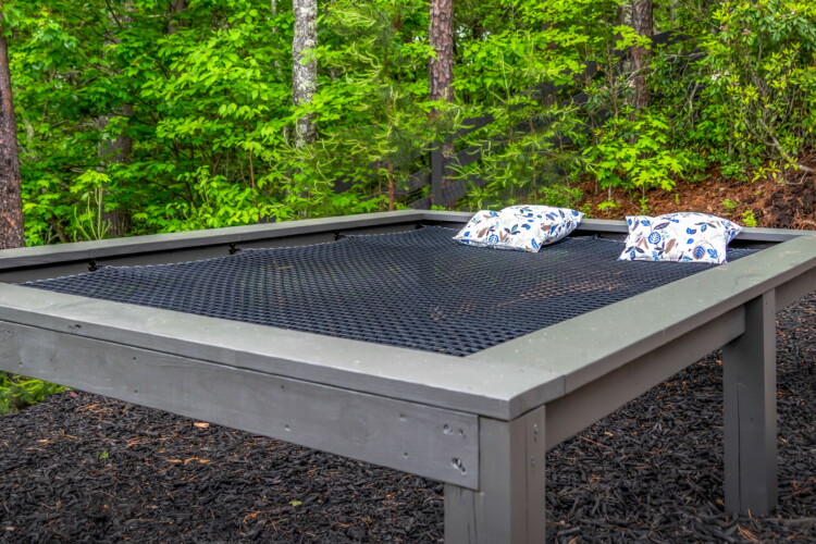 pet friendly north georgia cabins with swimming pools