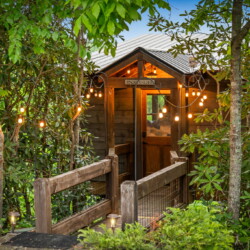 pet friendly north georgia cabins with swimming pools