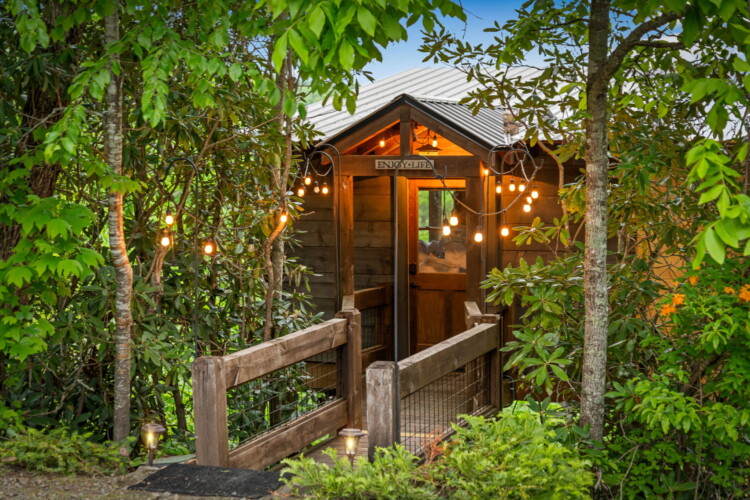 pet friendly north georgia cabins with swimming pools