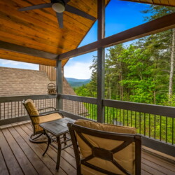 pet friendly north georgia cabins with swimming pools
