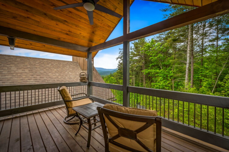 pet friendly north georgia cabins with swimming pools