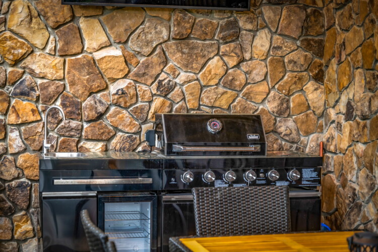 pet friendly north georgia cabins with swimming pools