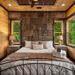 pet friendly north georgia cabins with swimming pools