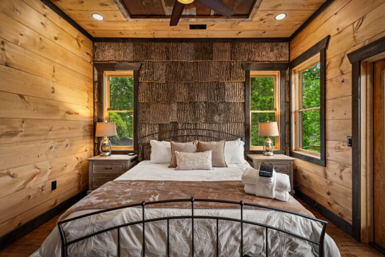 pet friendly north georgia cabins with swimming pools