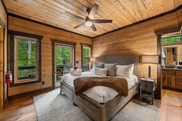 pet friendly north georgia cabins with swimming pools