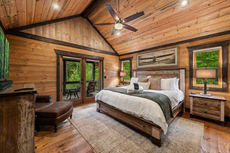 pet friendly north georgia cabins with swimming pools