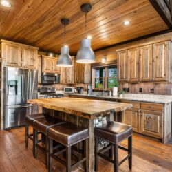 pet friendly north georgia cabins with swimming pools
