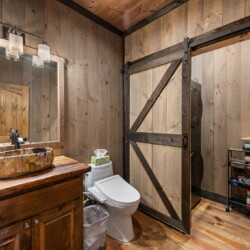 pet friendly north georgia cabins with swimming pools