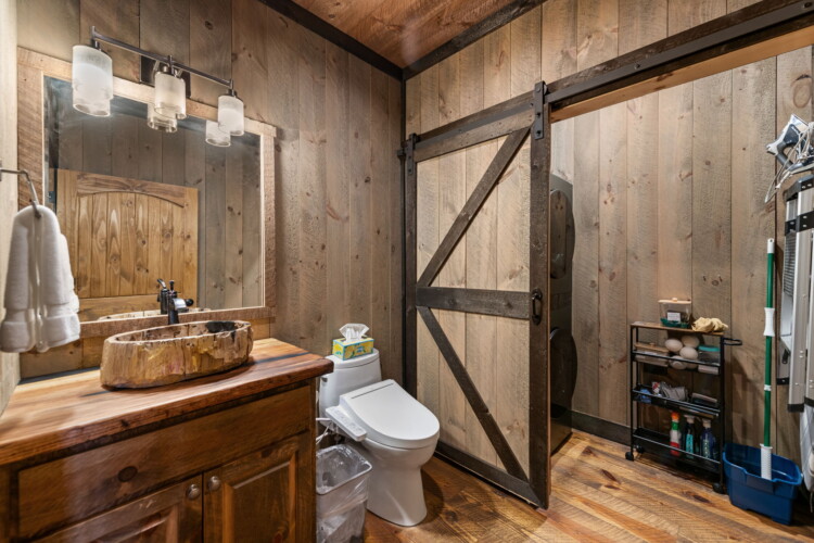 pet friendly north georgia cabins with swimming pools