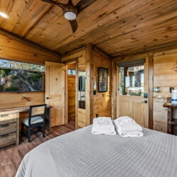 pet friendly north georgia cabins with swimming pools
