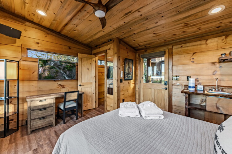 pet friendly north georgia cabins with swimming pools