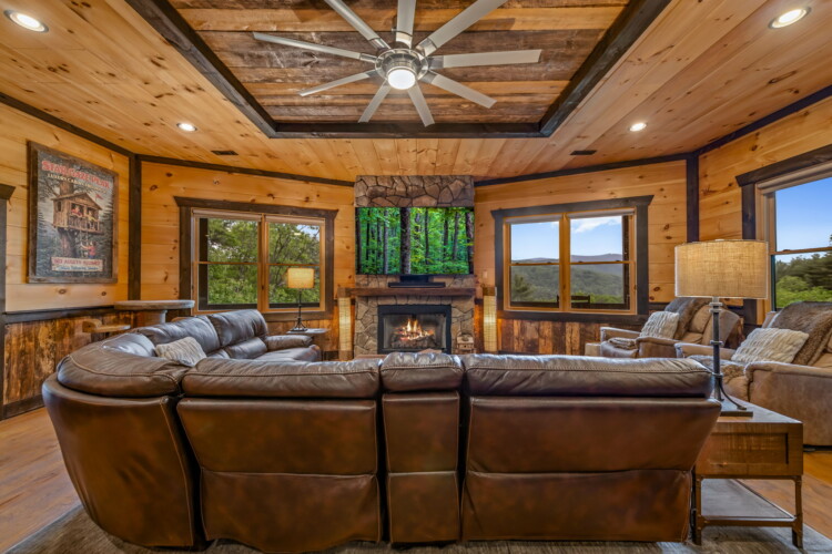 pet friendly north georgia cabins with swimming pools