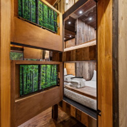 pet friendly north georgia cabins with swimming pools