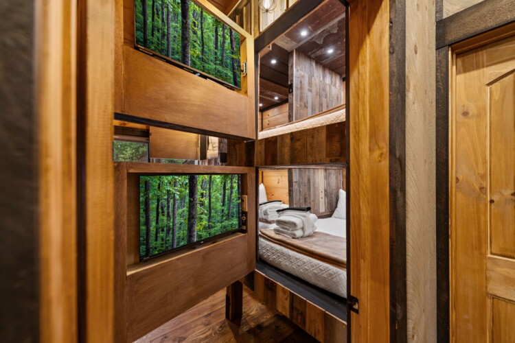 pet friendly north georgia cabins with swimming pools