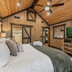 pet friendly north georgia cabins with swimming pools