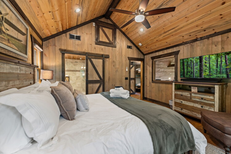 pet friendly north georgia cabins with swimming pools